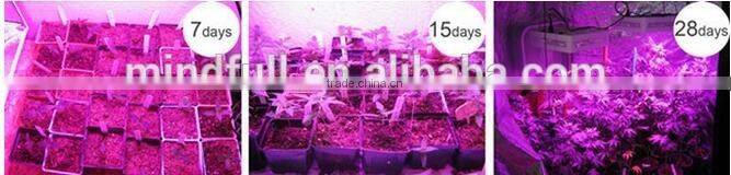 Wholesale 300W Led Grow Full Spectrum Light