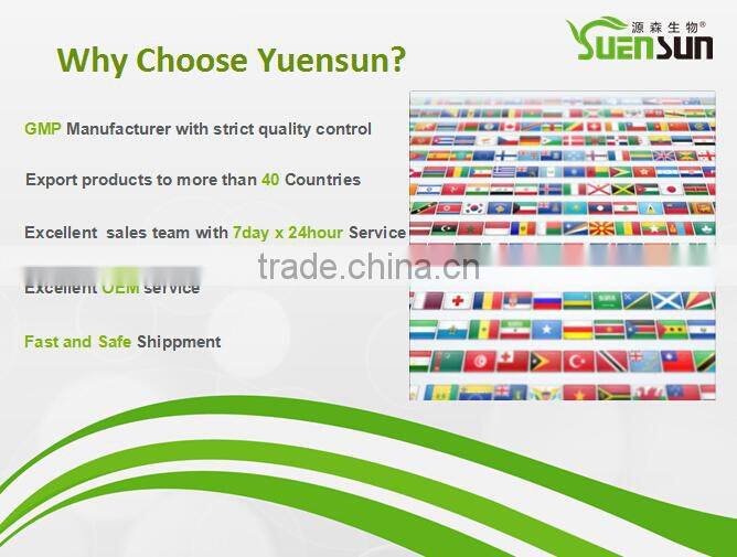 Top Quality From 11 Years experience manufacture ginseng powder