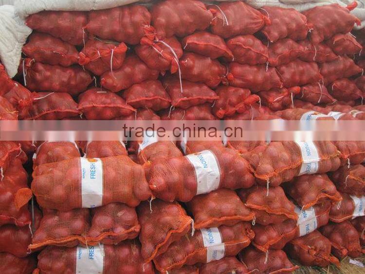 superior fresh red onion from onion exporters China