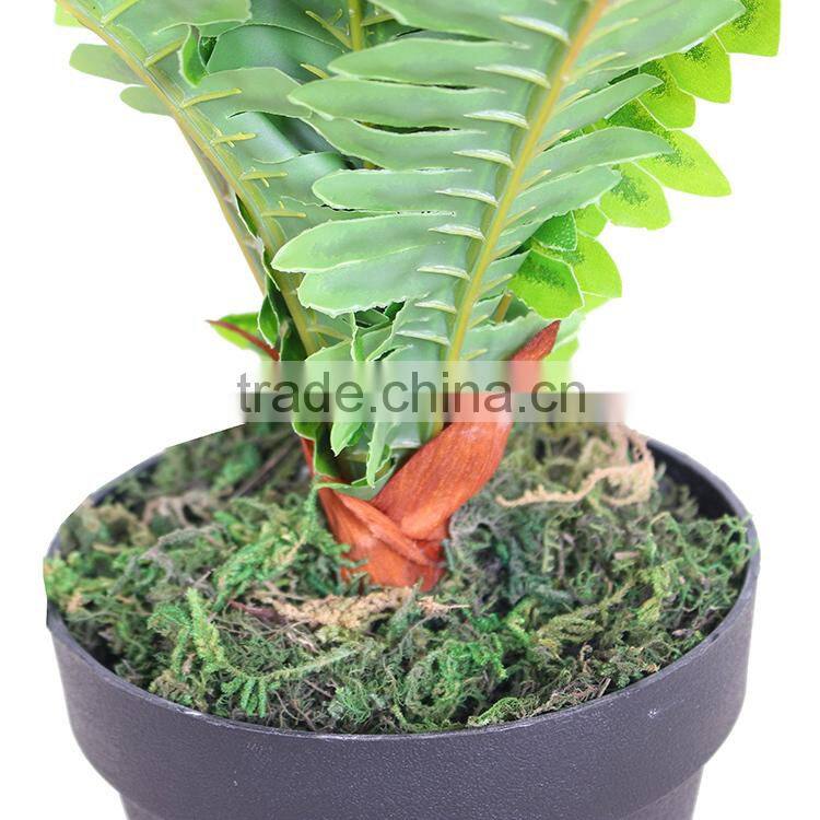 decorative artificial boston bonsai plant and trees
