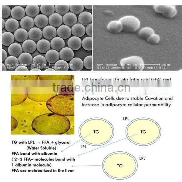 New Innovative 4 in 1 Beauty Machine