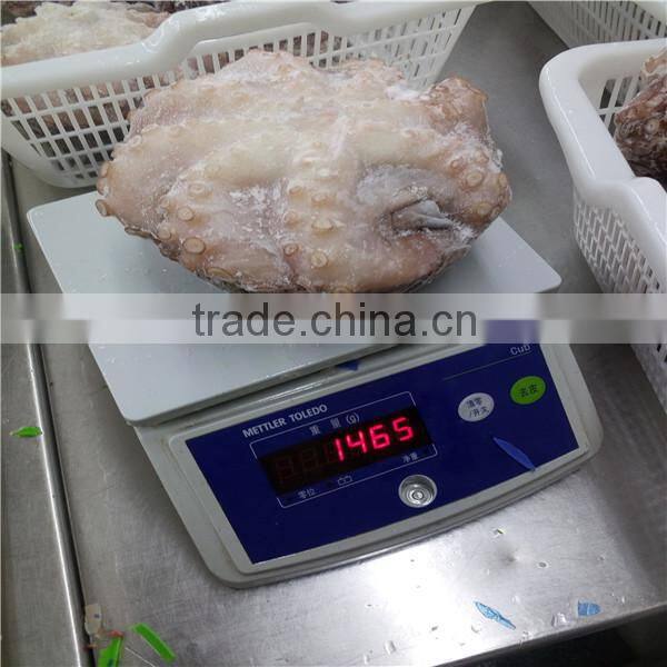 RAW OCTOPUS ORIGIN: NORTH PACIFIC OCEAN (FAO61)