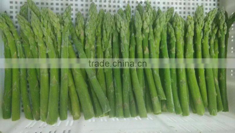 New crop IQF Frozen green asparagus-D:6-8mm L:11cm