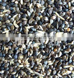 2016 the newest and hot selling barley ccd color sorter