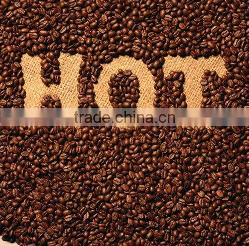 high potency Ganoderma Instand Hot Chocolate