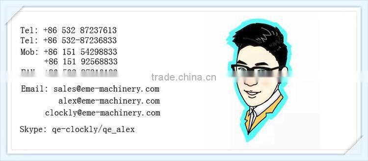 Pig Carcass Automatic Splitting Saw for slaughtering equipment