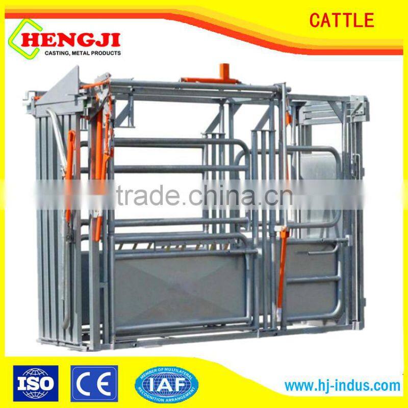 poultry farming cattle feeder