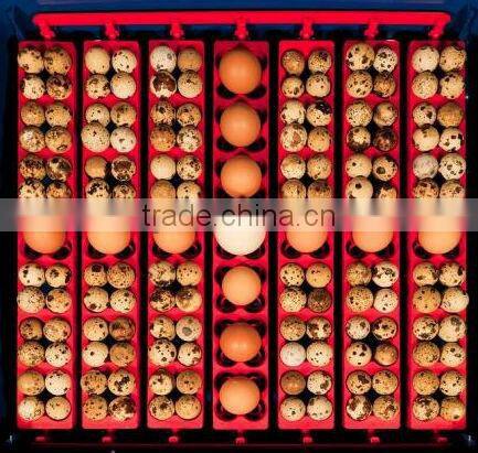 wq-42 mini incubator/small incubator/automatic mini incubator for sale