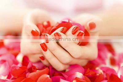 Acrylic Resin Nail powder for dipping