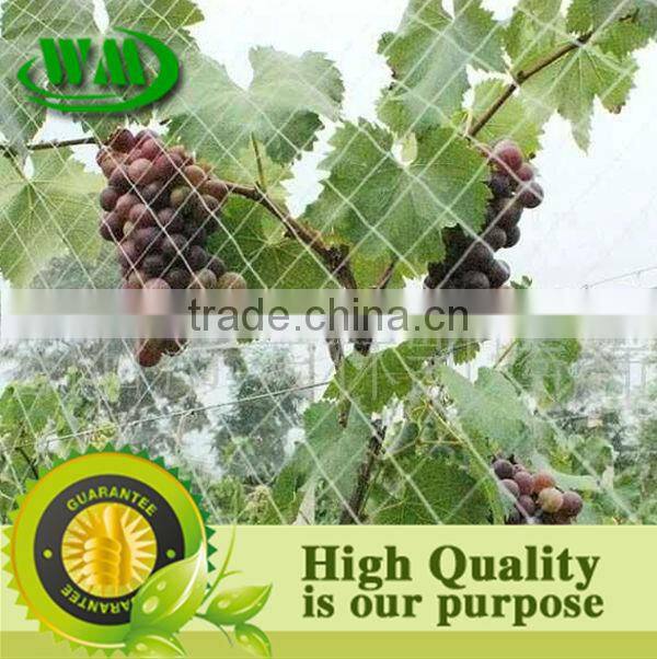 2014 hot sale hdpe anti bird protection net