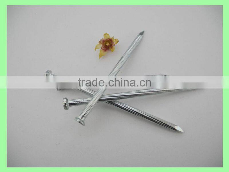 Steel Concrete Nails/Steel Nails China(factory and manufacturer)/linyi nails