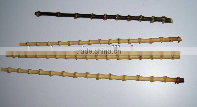 natural bamboo root