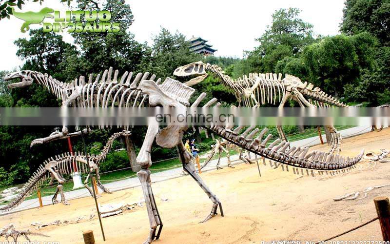 Amusement Theme Park Exhibition Dinosaur Fossil
