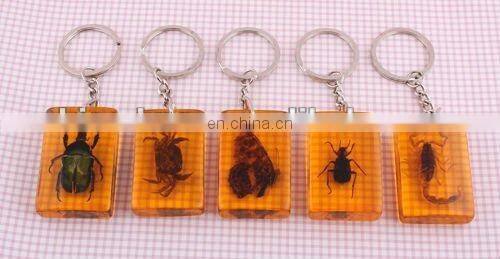 Luminous Real Insects Amber Keychain with Scorpion