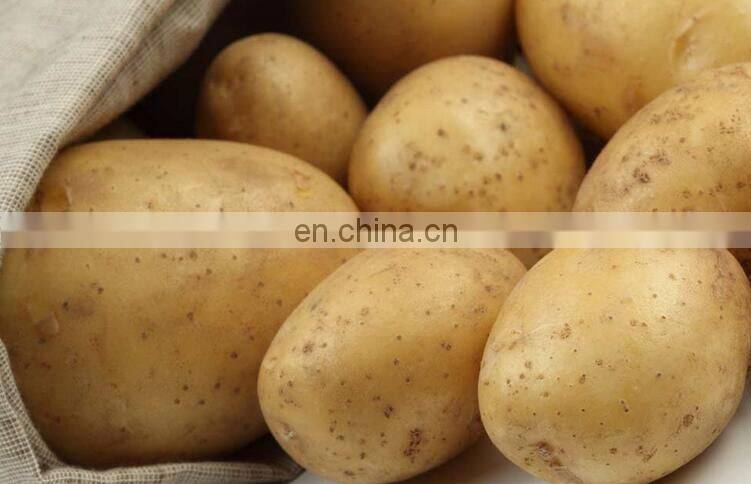 Automatic separation starch machine/Sweet potato starch machine /Potato starch extraction machine