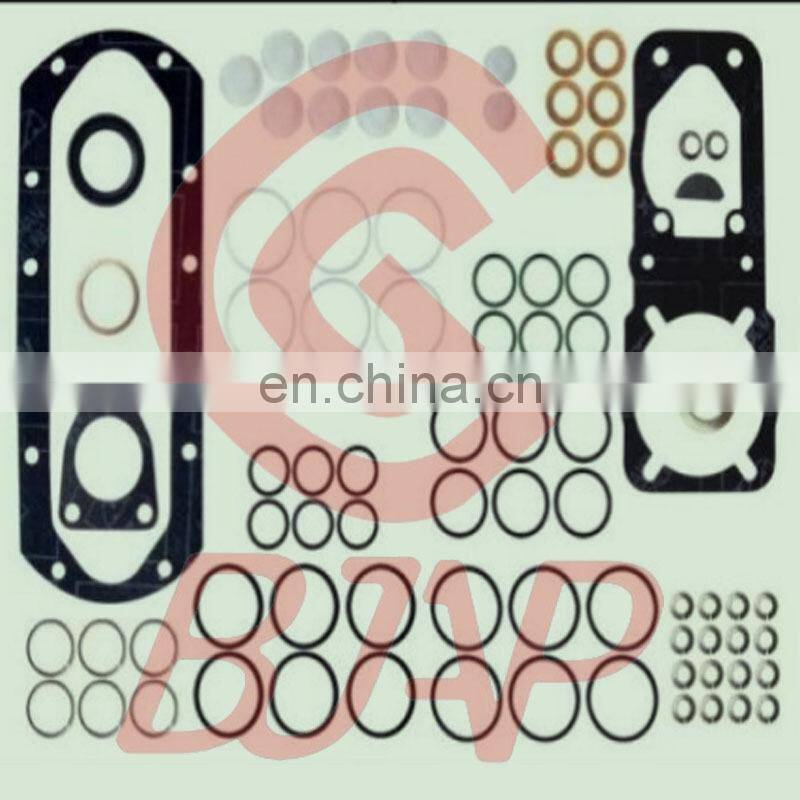 BJAP 800619 Injection Pump Repair kit 80 0619