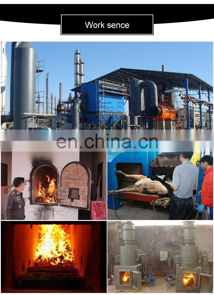 Medical Waste Incinerator / Household Waste Incinerator / Mini Waste Incinerator Food Waste Disposer Manufacturing Plant Nigeria