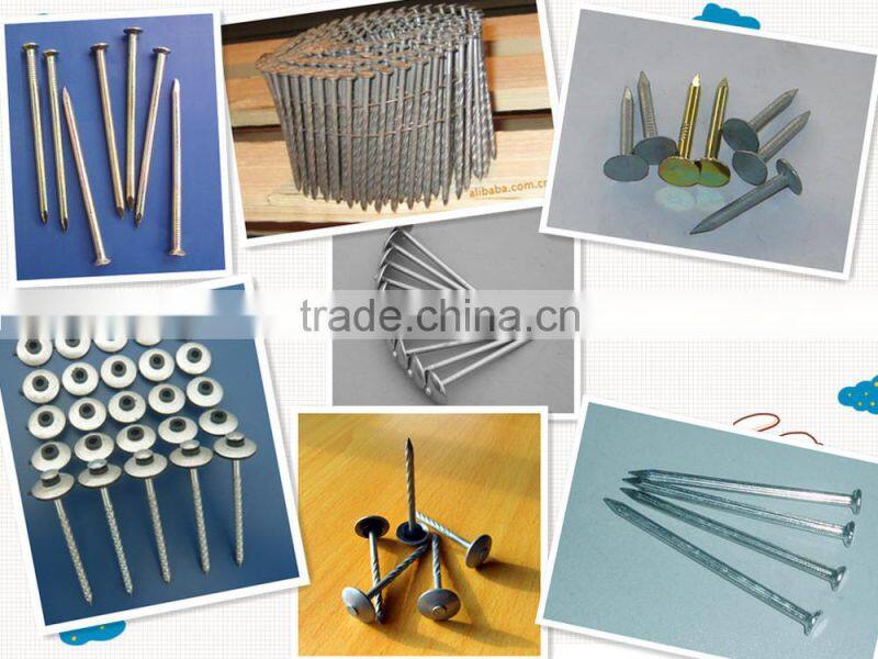 Factory Price Nail Making Mould