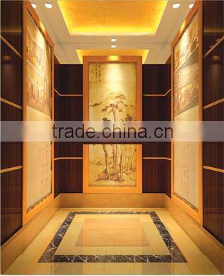 Passenger Elevator elevator passenger