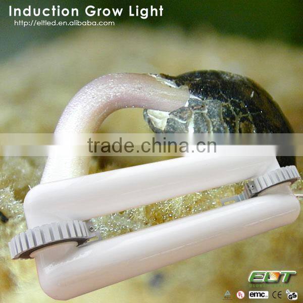 indoor grow tent indcution lamp and plant tissue culture led grow light
