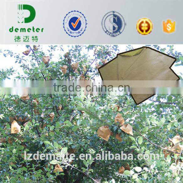 Apple Pear Mango Guava Grape Fruit Protection Waterproof Custom Made Paper Bags