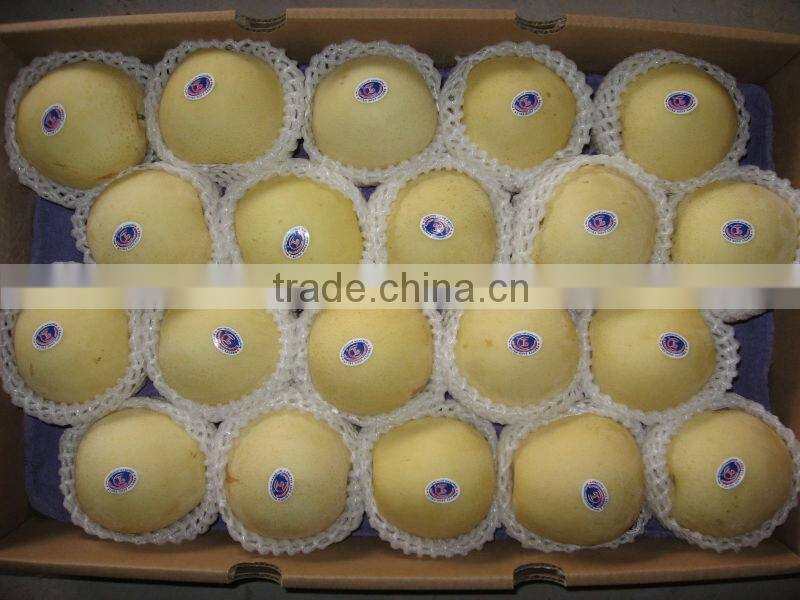 chinese fresh delicious ya pear