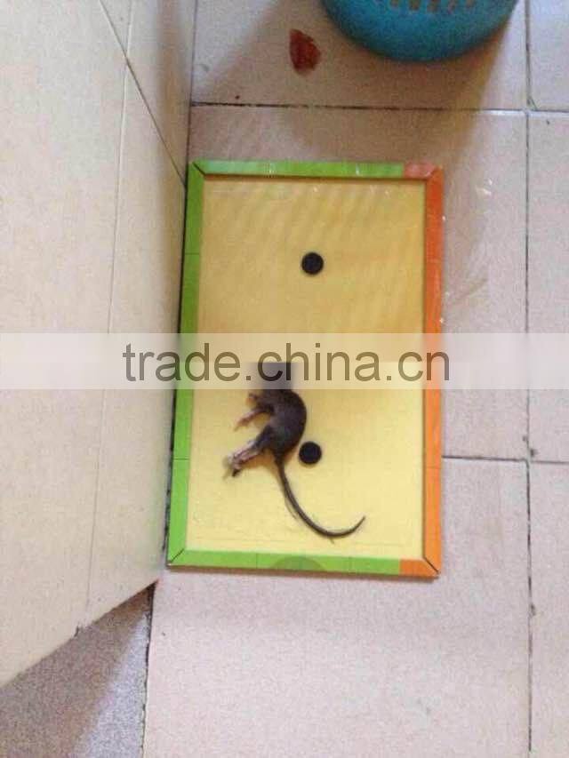 THE TOP SALES RAT GLUE TRAP