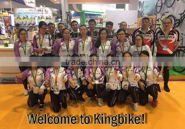 Best selling 250w 26 inch 36v 2A adult electric bikes KB-E-6013