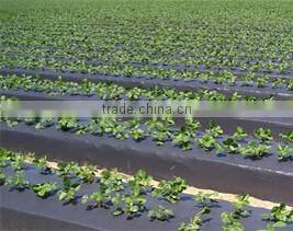 Low price silver/black PE mulch film for agriculture food grade wholesale
