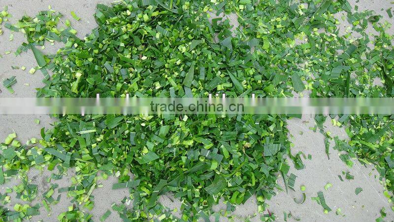 plastic crusher machine