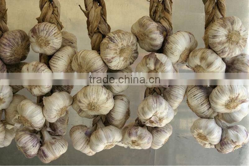 bulk dehydrated garlic powder 80-120 mesh price