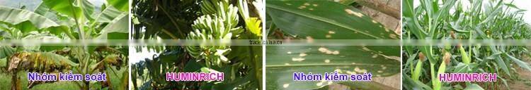 Huminrich HUMIC ACID (Hoa chat co ban dung trong cong nghiep- khong dung trong cong nghiep thuc pham) (Hang moi)