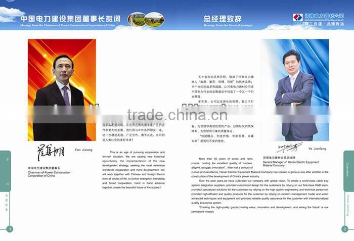 Top Quality overhead Line Link Fitting Ball Eye