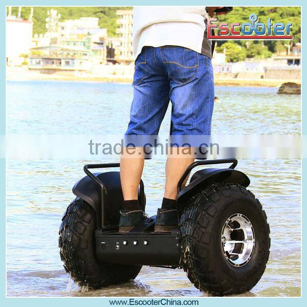 19 Inch Shock-Absorb Hire Pride Mobility Scooter: Rascal and Fast with 20 Km Per Hour