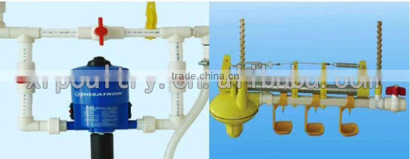 CHICKEN FARM BUILDING DESIGN