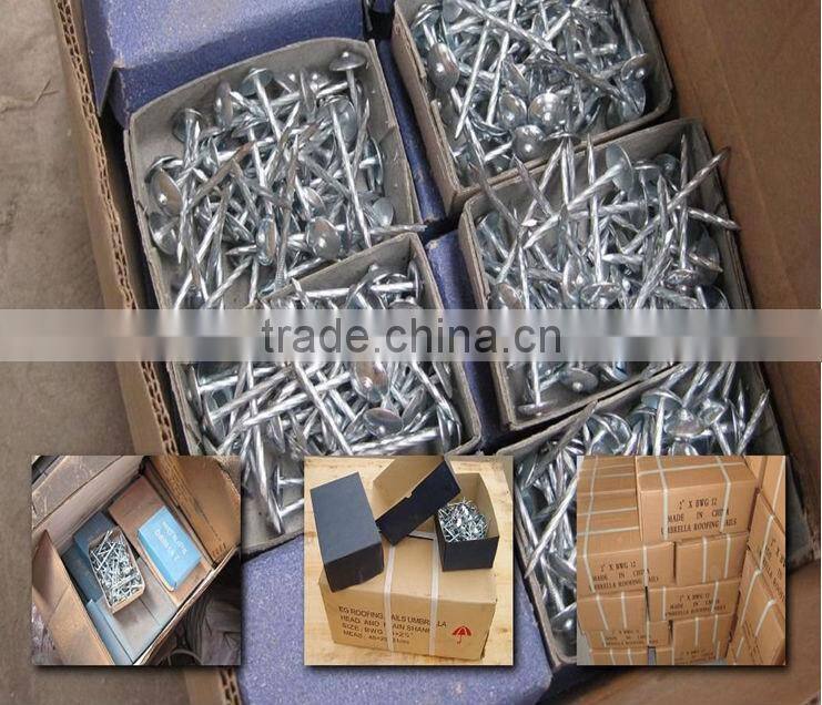 9bwg straight umbrella head galvanized roofing nails