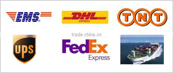 Mini Dry Food Grinder