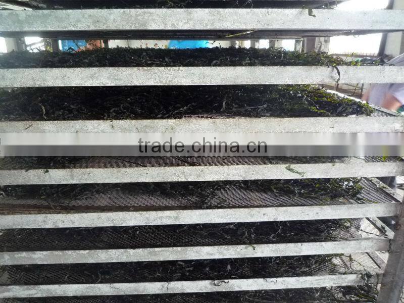 2014 Machine Dried shredded seaweed laminaria(manufacturer)