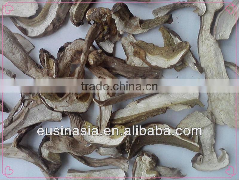 sliced porcini boletus edulis