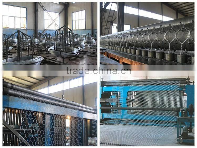 Hexagonal PVC Coated Chicken Wire Mesh