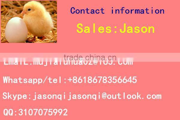 Slaughterhouse equipment Poultry plucking machine MJ-50 poultry plucker for chicken ,goose ,duck