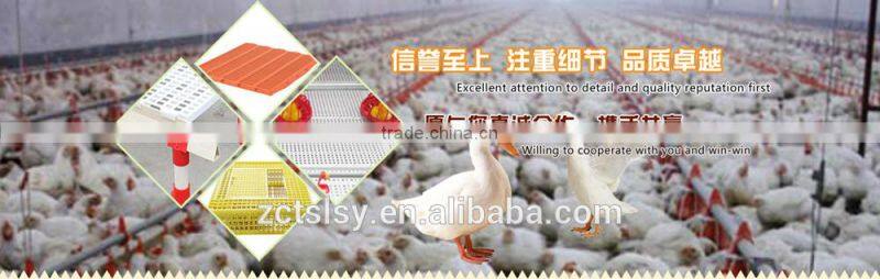 Colorful plastic egg tray for egg storage