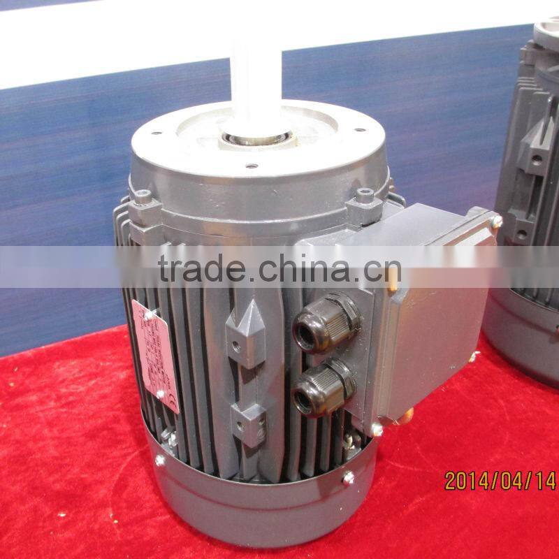 IE2 Standard Three Phase Asynchronous Motors Aluminum housing At 400V 50HZ MS2 100L 6