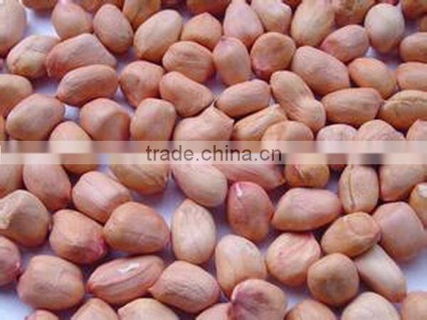 high output groundnut shelling machine