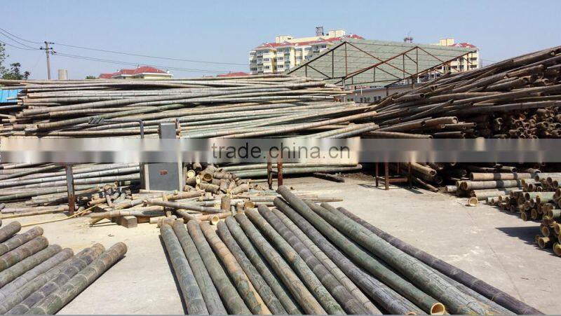 Traditional craft natural bamboo ladder prices