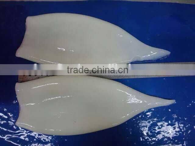 Cleaned Frozen Illex Argentina Squid Tube U5 U7 U10