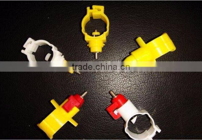 Automatic Poultry Layer Farming Equipment And Poultry Farm Raw Materials