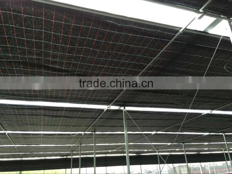 Customized Plastic Film Tunnel Greenhouse for US Market