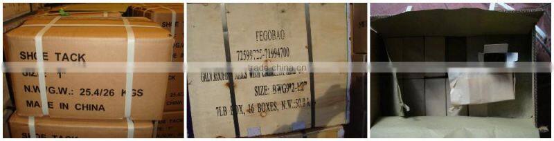 flat head shoe tacks nails/Cheap Shoe Tack Nails/ Linyi Nails