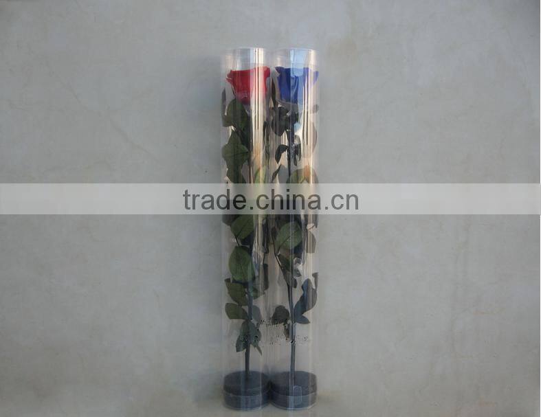 Colurful Real Natural Preserved Roses With Stem